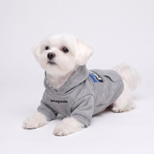 Paws Circle Adventure Mountain Logo Dog Hoodie product detail