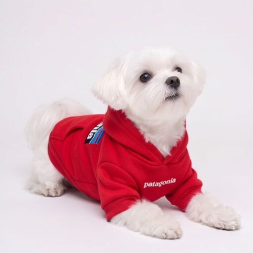 Paws Circle Adventure Mountain Logo Dog Hoodie product detail