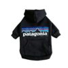 Paws Circle Adventure Mountain Logo Dog Hoodie in Black