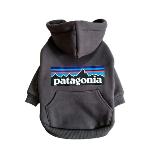 Paws Circle Adventure Mountain Logo Dog Hoodie in Charcoal