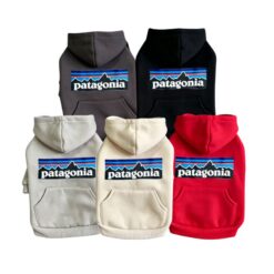 Paws Circle Adventure Mountain Logo Dog Hoodie flat lay showing available options