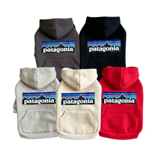 Paws Circle Adventure Mountain Logo Dog Hoodie flat lay showing available options